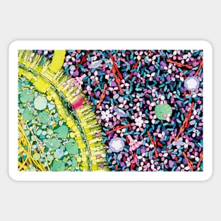 Antibodies in action, artwork (P270/0064) Sticker